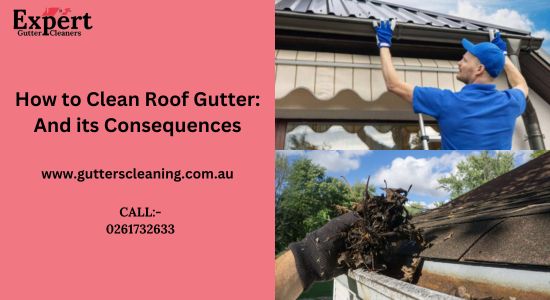 Roof Gutters