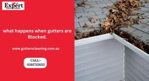 blocked gutters 1