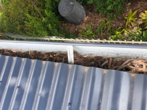 Roof gutter Clogged