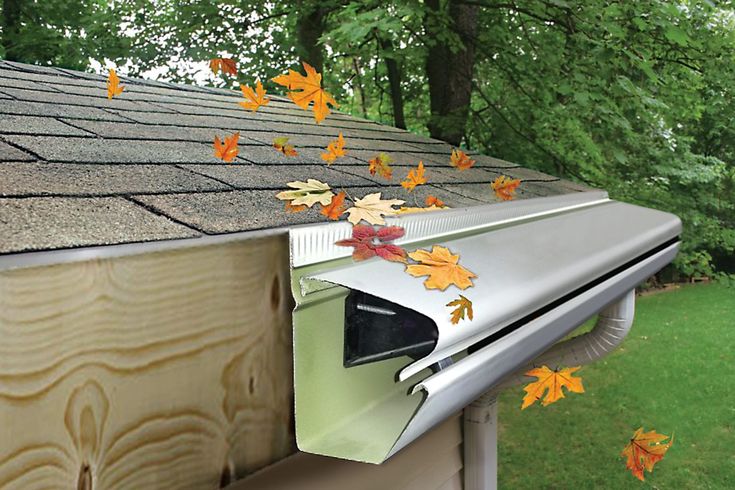 Gutter Guards and leaf guards