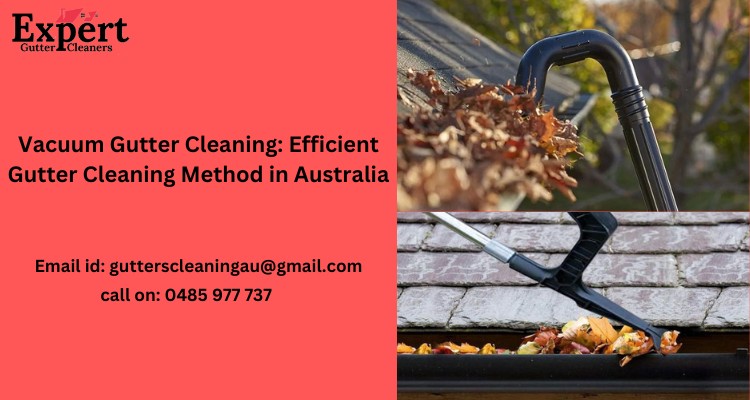 Gutter cleaning Vacuum
