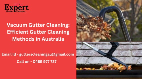 vacuum gutter cleaning