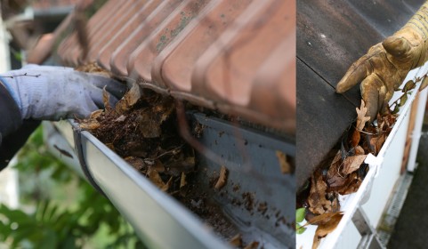 Canberra Gutter Leaf Removal