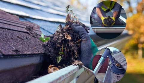 Canberra Roof gutter cleaning