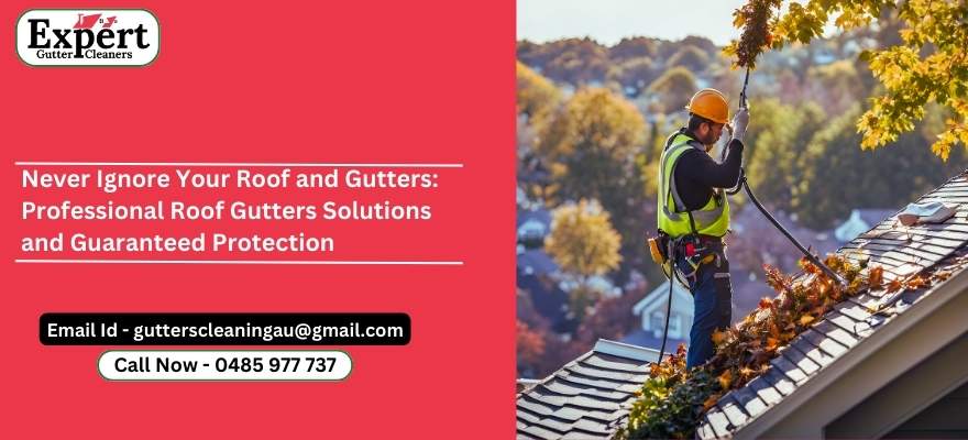 Roof and gutters